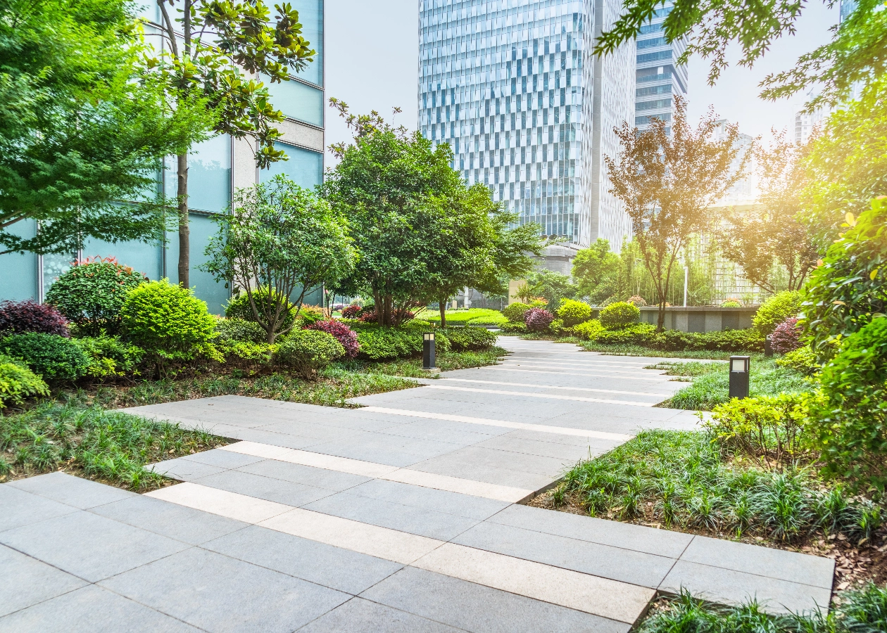 Surrey Garden or Landscape Designer Image for Commercial Space Garden Central London - Free Website, Free website template, easy website, Simple Website, No Coding Website, Easy Website, Tec-Nut.com Websites, , Company Website, Free Website, Website Builder, New Company